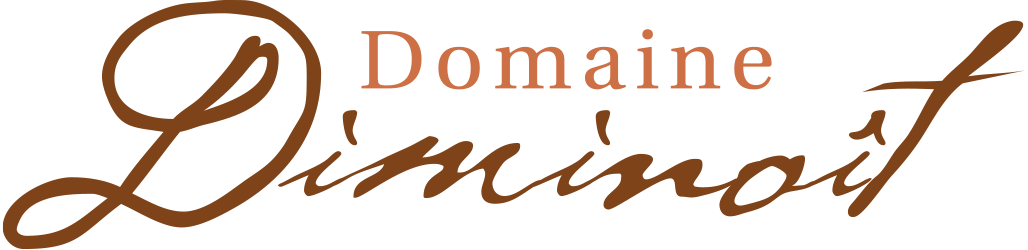 Logo Domaine Diminoit vins écriture cursive — création graphique Stardust Communication