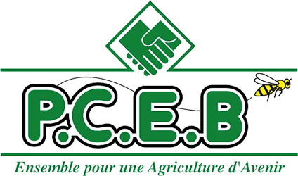 Logo P.C.E.B. — création web Stardust Communication