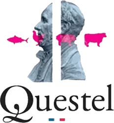 Logo le Questel à Nimes — Réalisation video et photographie par Stardust Communication